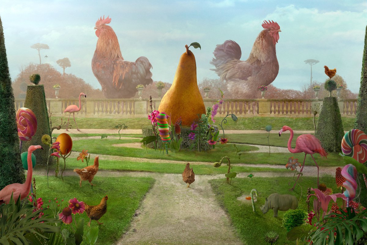 Surrealistic Animal Photograph By Nikolina Petolas, 35 X 24", Year Of The Rooster, Original Artwork