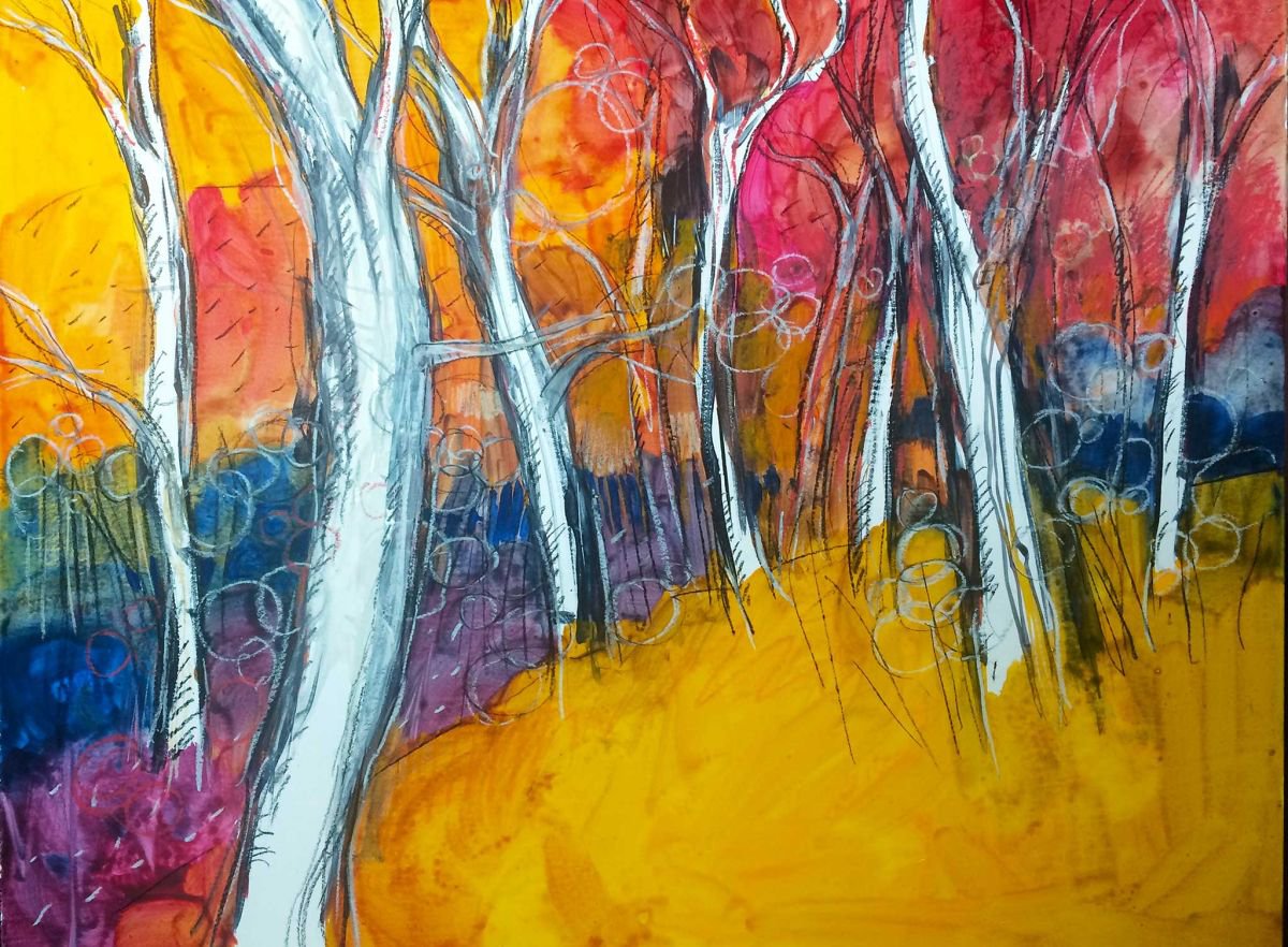 Games of light and color in the woods (Giochi di luce e colore nel bosco) by Alessandro Andreuccetti
