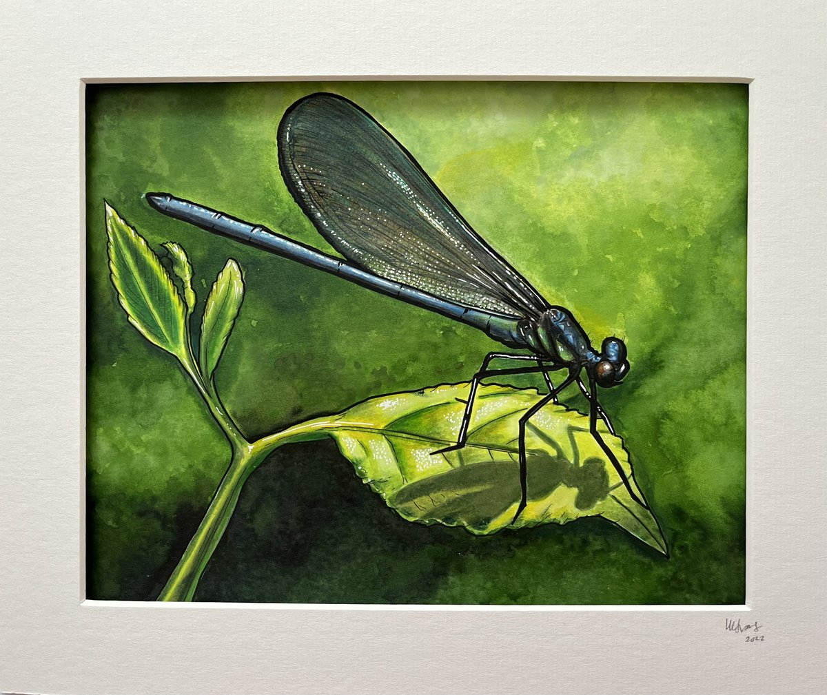 Illustrative Painting , Dragonfly By Karen Elaine Evans, 12 X 10, Artwork For Sale On Artfinder