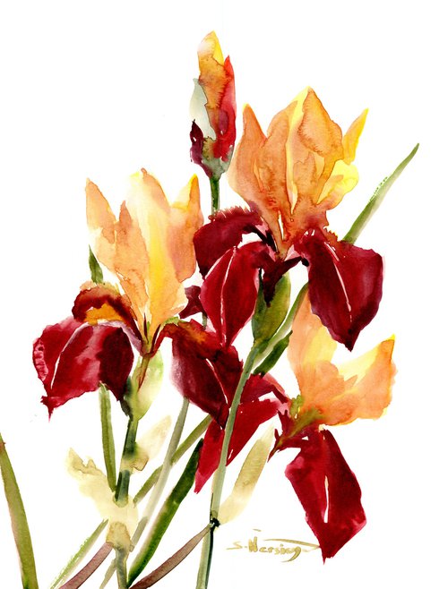 Iris Flowers by Suren Nersisyan