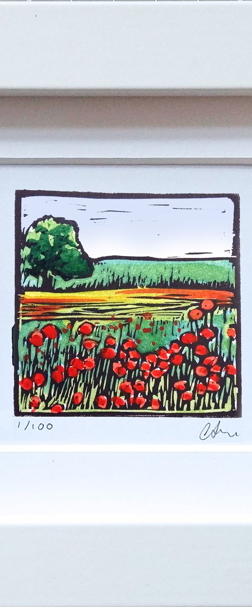 Poppies by Carolynne Coulson