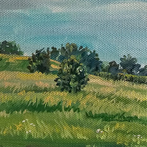 Summer Pasture