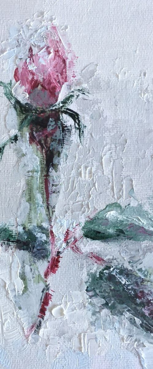 Ice Rose #1 -  Impressionist Flowers by Rebecca Pells