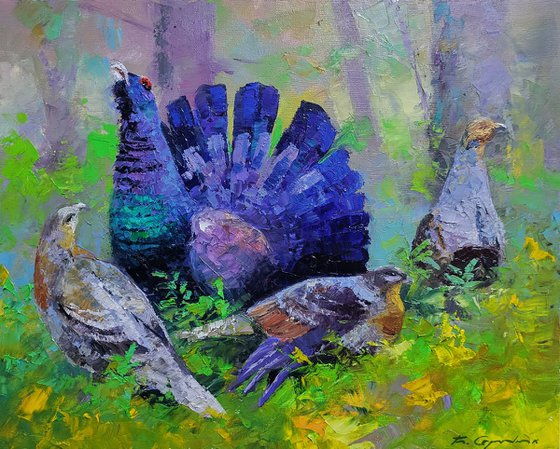 Black Grouse in the Summer Forest
