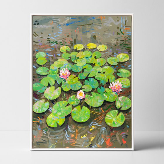 Tasman Lily Pond 46