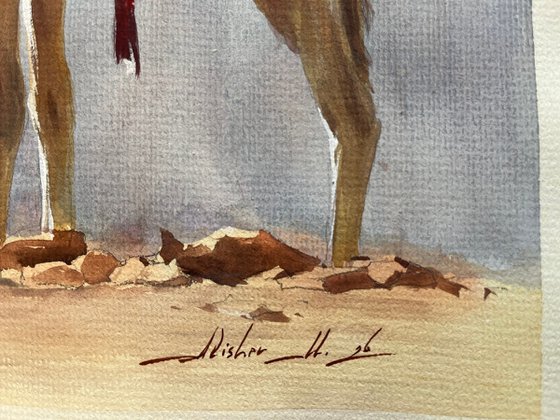 "Nomadic Spirit: Dromedaries of the Desert"