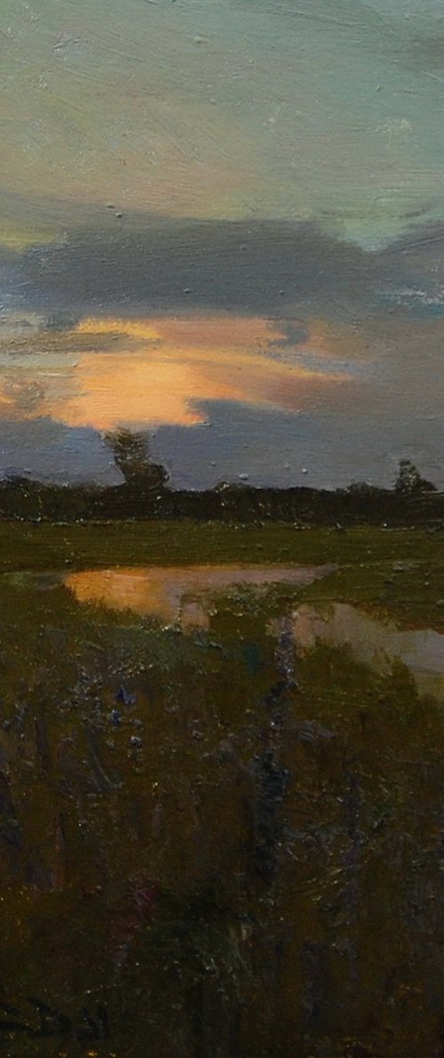 July evening by Denys Gorodnychyi