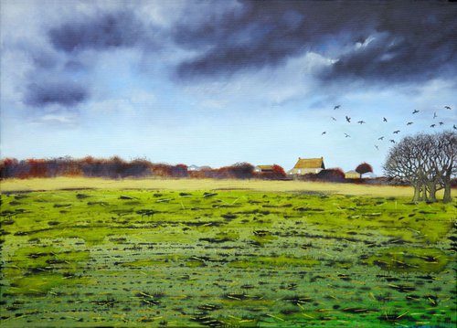 Farm on the Somerset Levels by Sarah Sweet