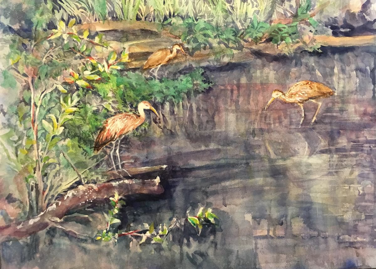 Impressionistic Watercolour , Limpkin World By Yoshiko Murdick, 24 X 18, Artwork For Sale On Artfinder