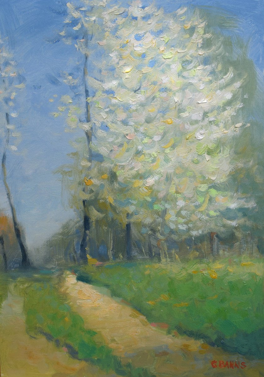 Impressionistic Landscape Oil Painting By Gav Banns, 8 X 12, Impressionism Tree Spring Blossom Early Morning, Original Artwork
