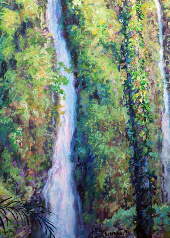 Memories of Iguazu