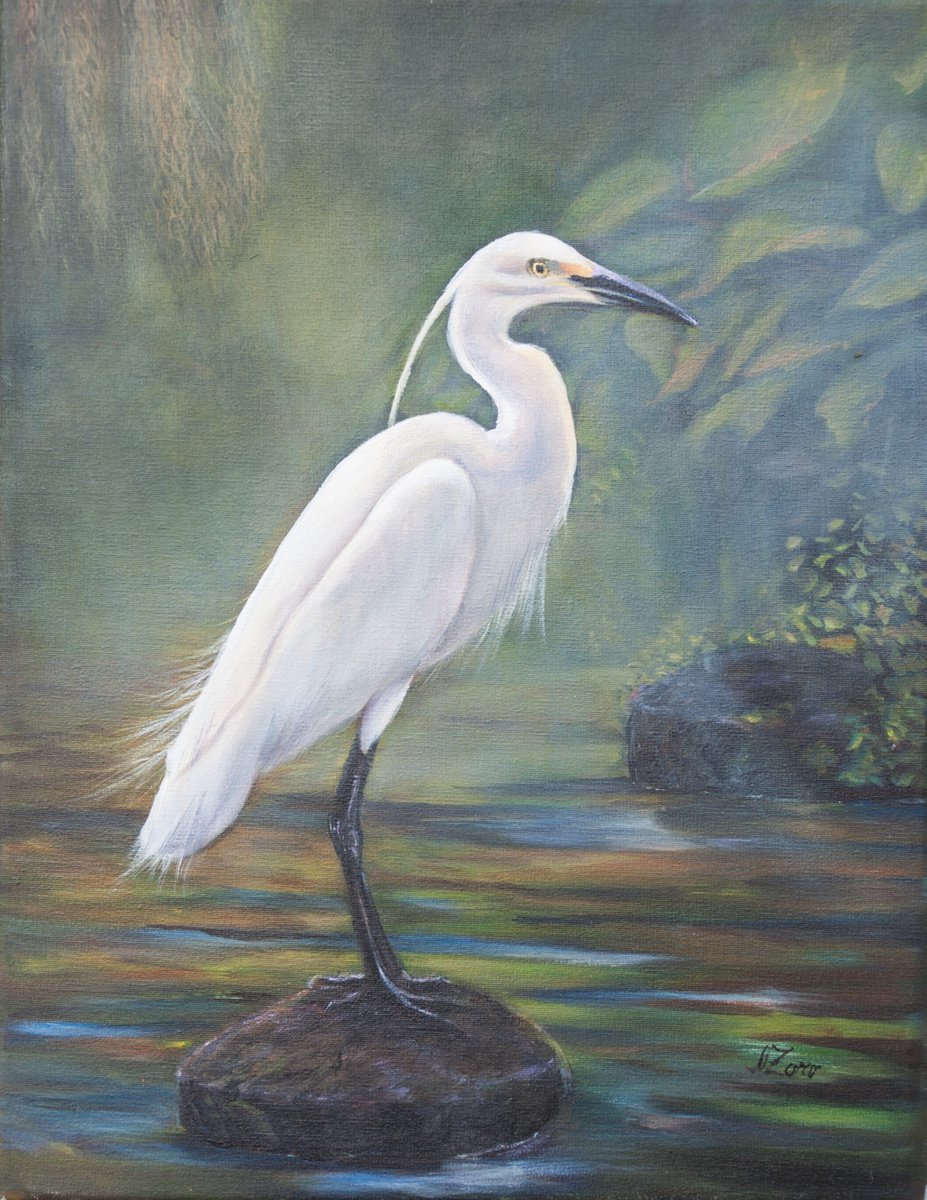 White Heron by Norma Beatriz Zaro