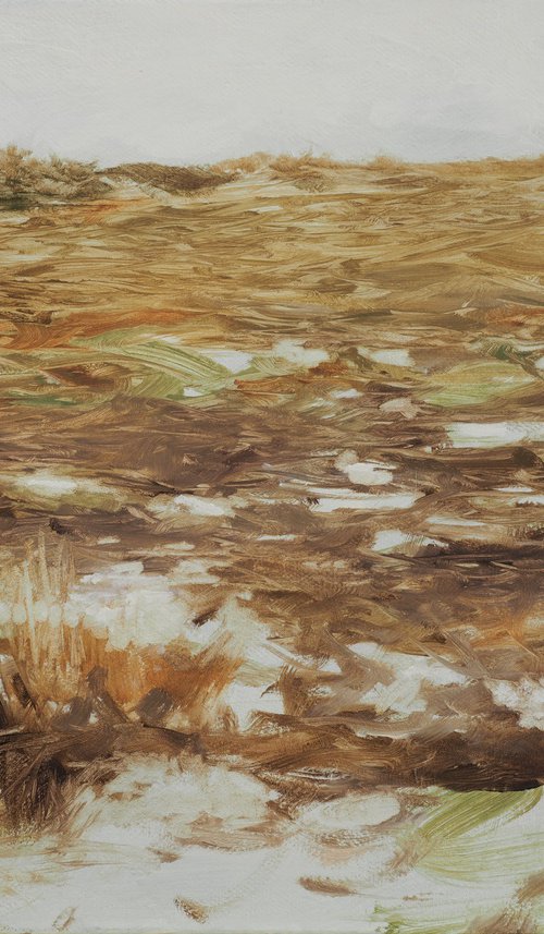 WINTER MOOR FIELD by Duncan Hopkins