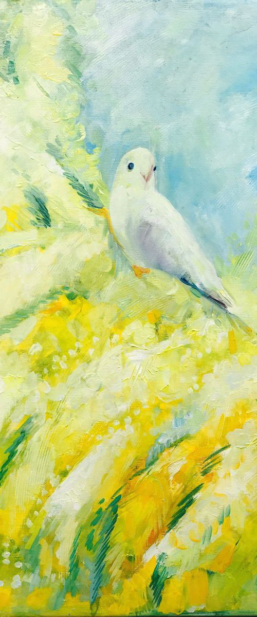 Branch of Mimosas by Olga Pascari