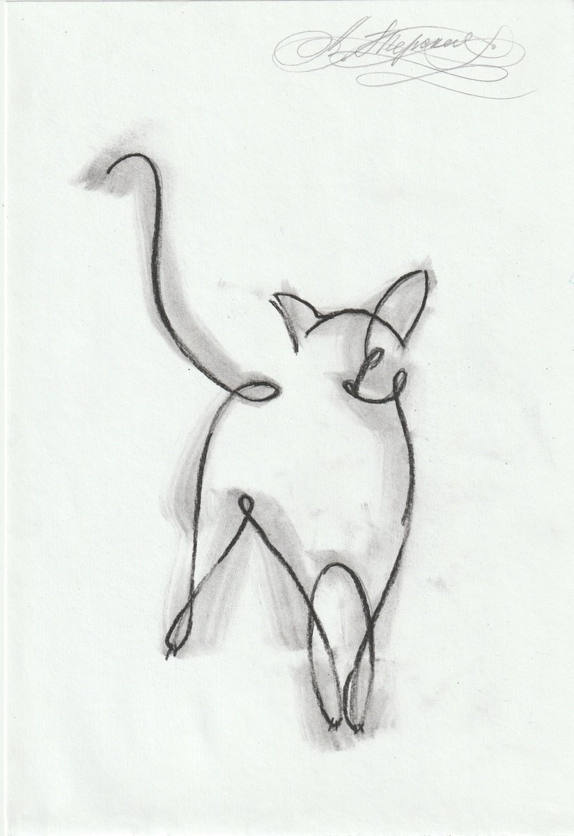 Animal Charcoal Drawing By Anastasia Terskih, 7 X 12, Cat, Original Artwork