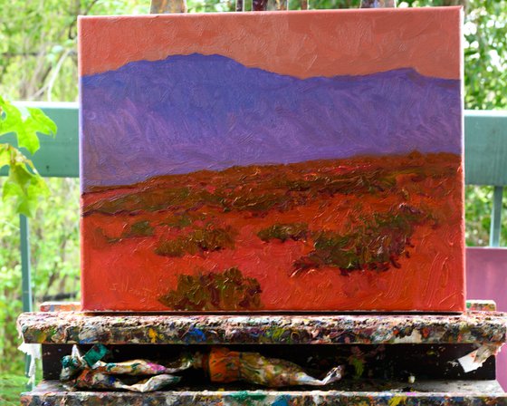 Warm Dusk of the Desert