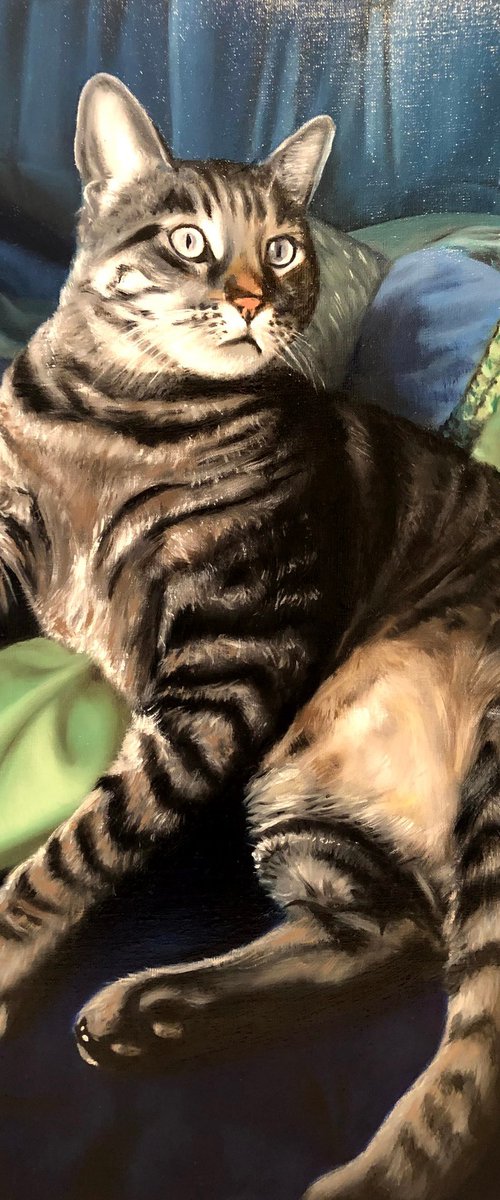 Intense Curiosity - Oil Cat Portrait by Angelo Di Carlo