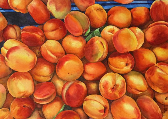 Apricots