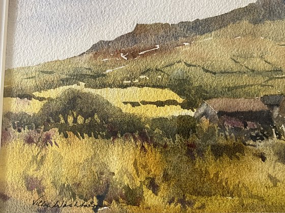 Garn Llidi,St. Davids