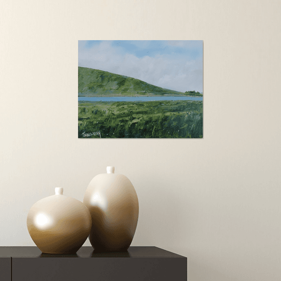 Near Spelga, Mourne Mountains, Irish Landscape