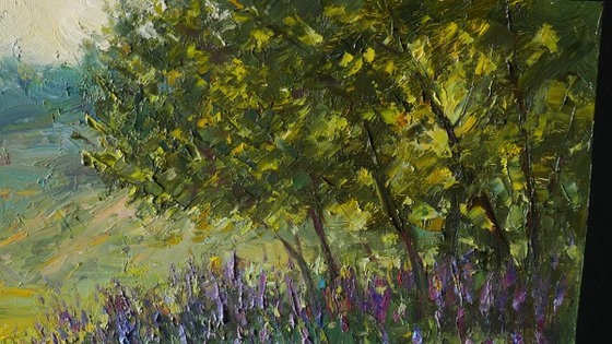 The Sunny Summer Evening. Sage Blossoms - summer painting