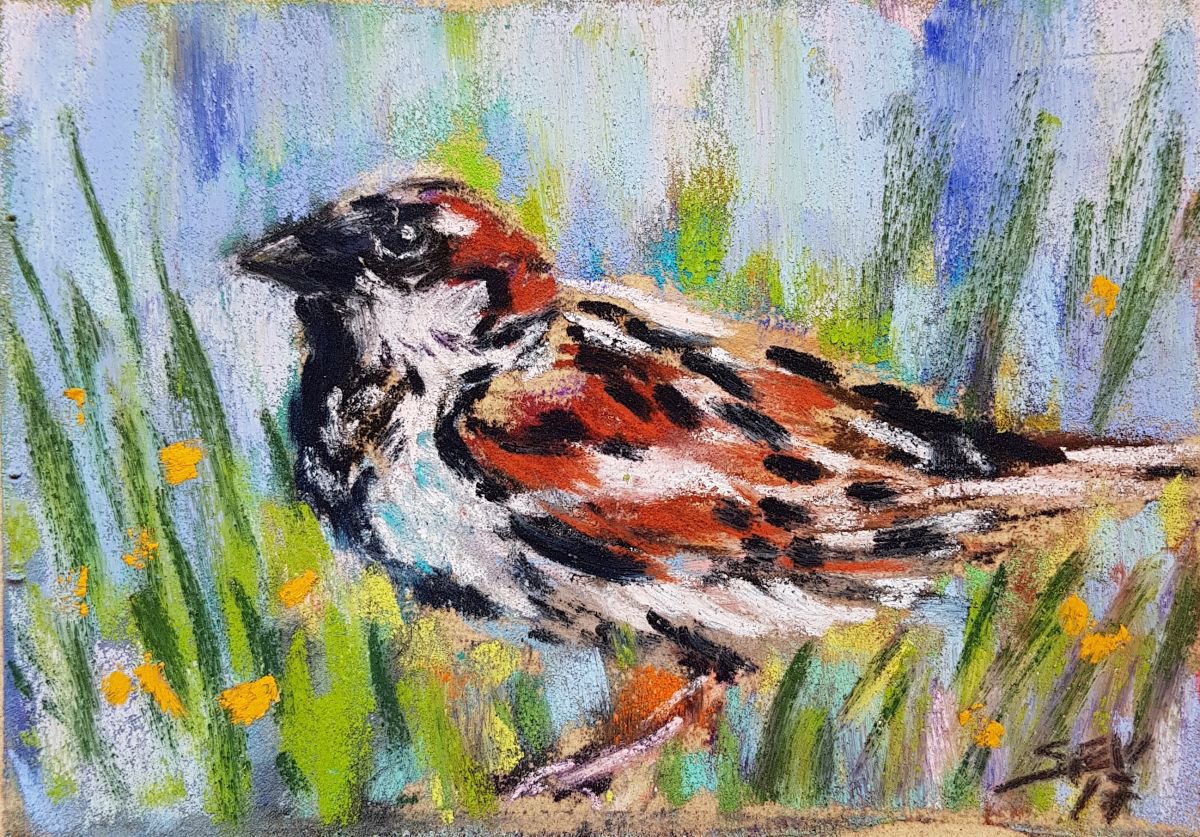 Sparrow by Silvia Flores Vitiello