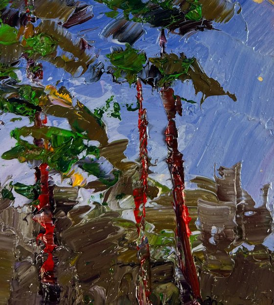 Winter Road through Quiet Forests