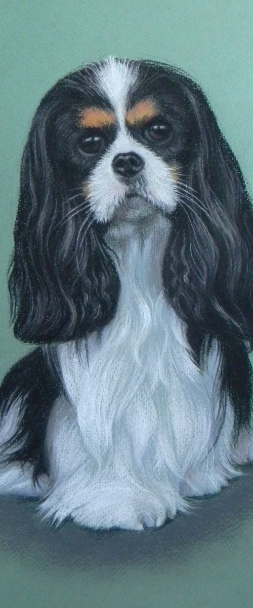 Lovely pet by Liudmyla Chemodanova