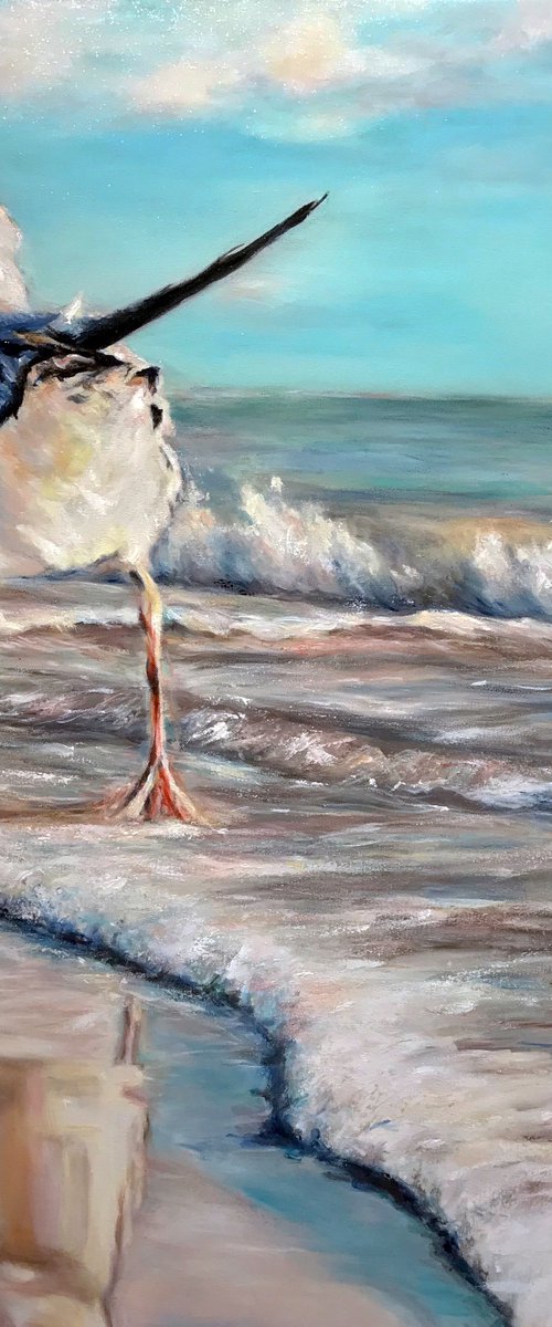 Conversations with a seagull by Fabian Bertona