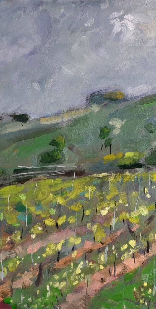 Vineyard in West Sussex. by Andre Pallat