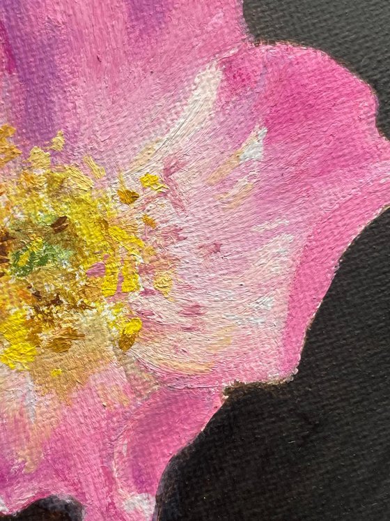 Wild Rose (Rosehip)