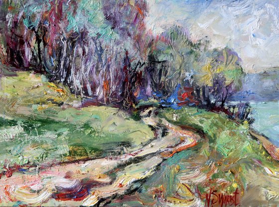 Road to the Dniester River