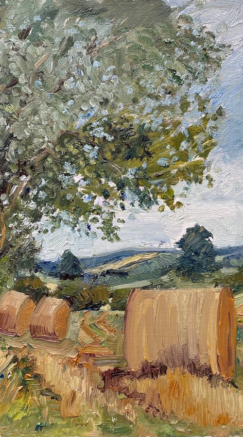 Harvest Reverie by Jeff Parker
