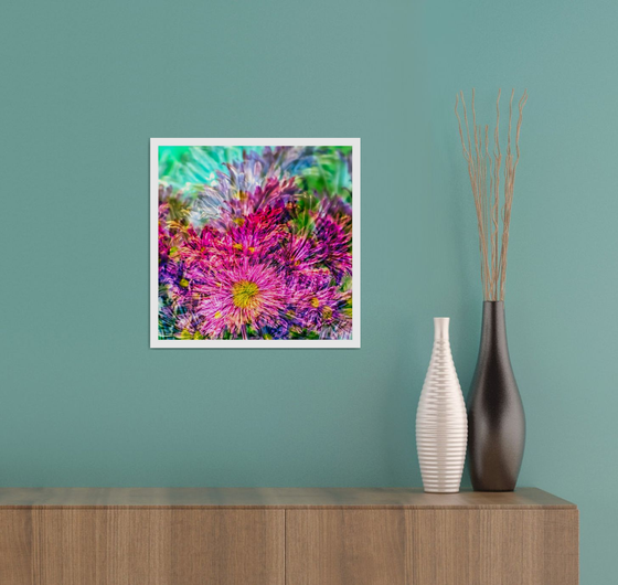 Abstract Flowers #9. Limited Edition 1/25 12x12 inch Photographic Print.