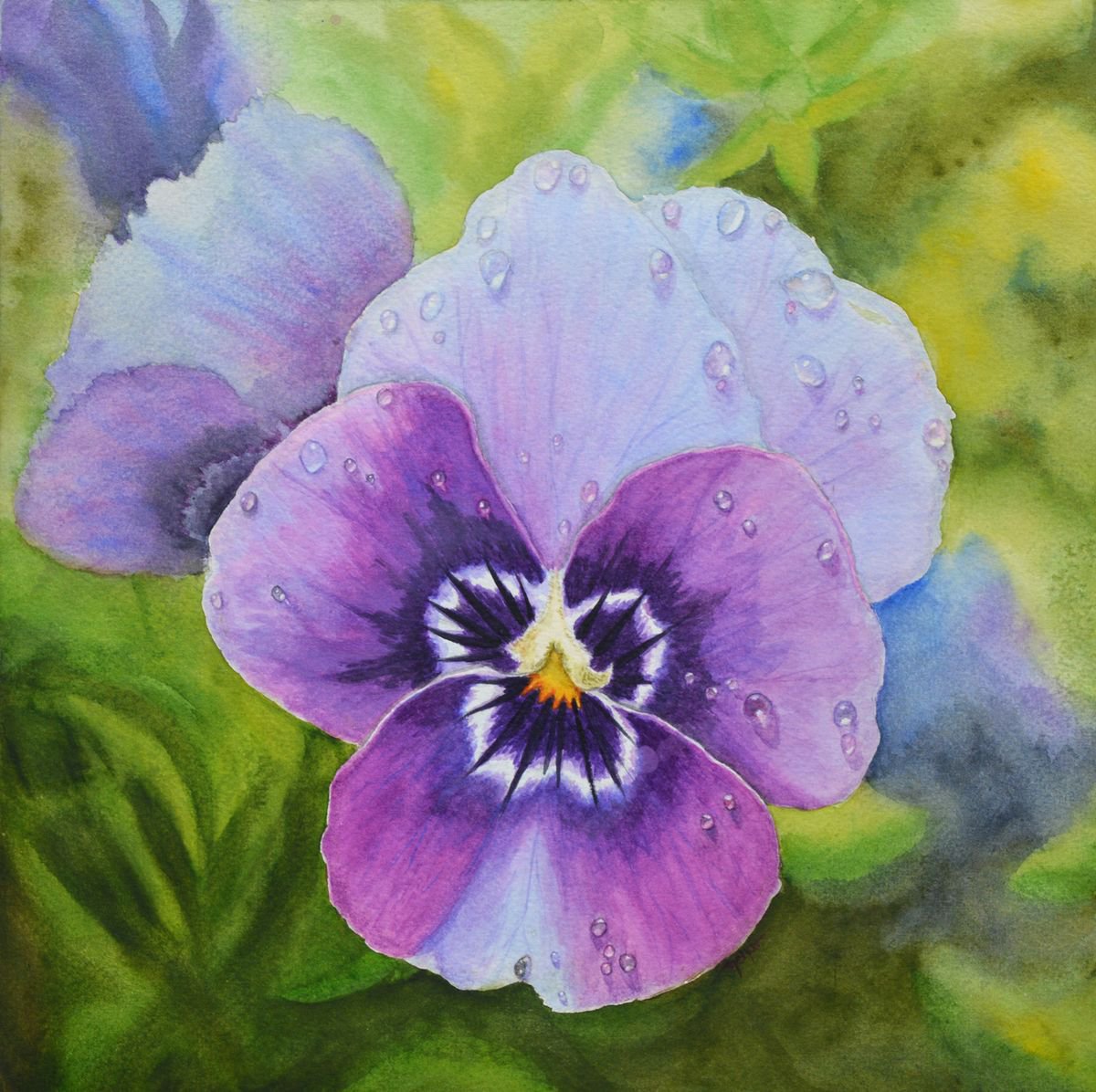 Pansy with dewdrops by Neha Soni