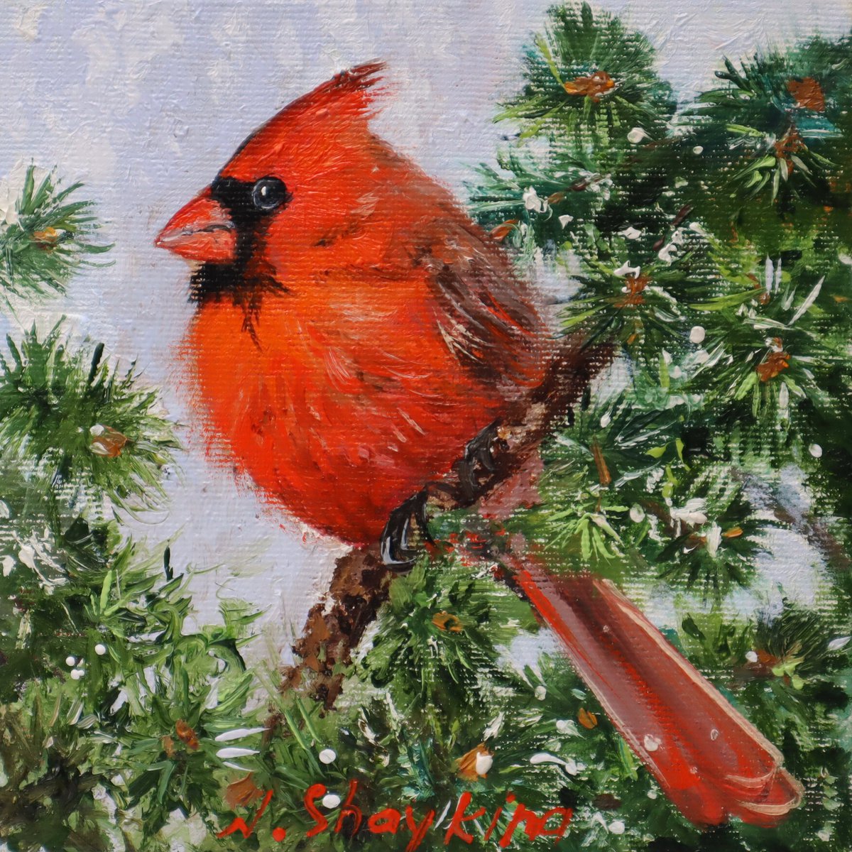Cardinal & Winter, White frame, Bird painting original oil for sale, Cardinal bird art pai... by Natalia Shaykina