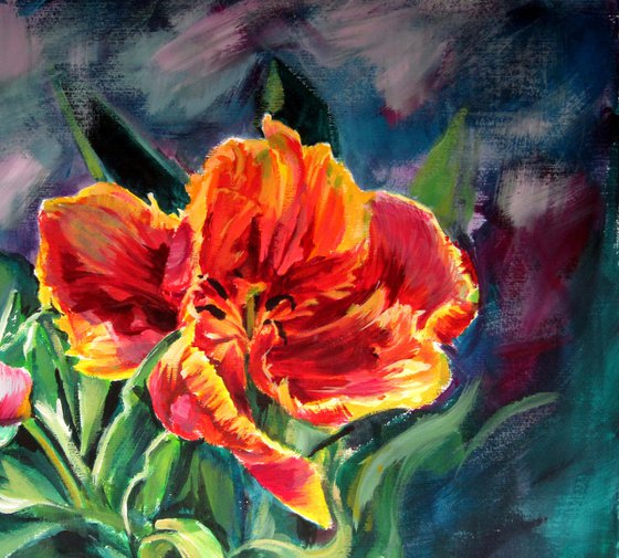 Tulip