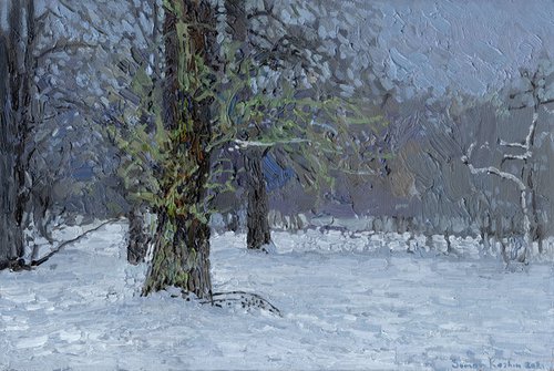 December. Old poplar in Tsaritsyno. by Simon Kozhin