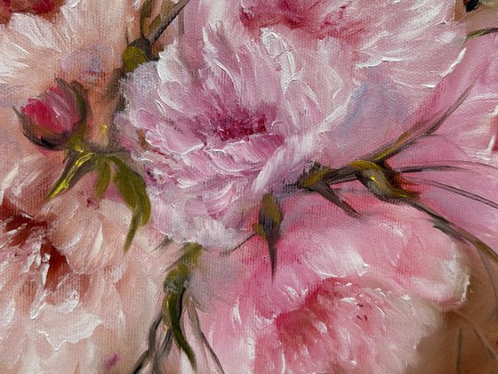Peony Warmth