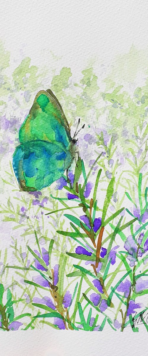 Butterfly on Rosemary by Lisa Mann