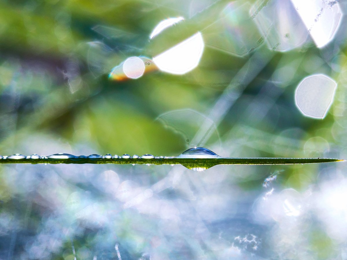 Organic Abstract Photograph By Inna Etuvgi, 17 X 13, Dreamscapes. Beyond, Original Artwork