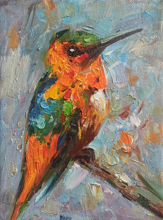 Hummingbird -1