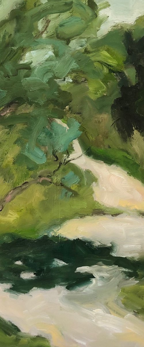 forest valley by Joanna Farrow