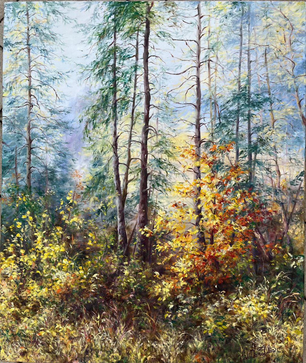 Photorealistic Landscape Oil Painting By Oana Voda, 20 X 24", Through Branches, In Autumn, Original Artwork
