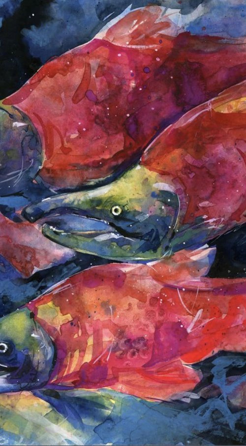 Sockeye Salmon by Kathy Morton Stanion