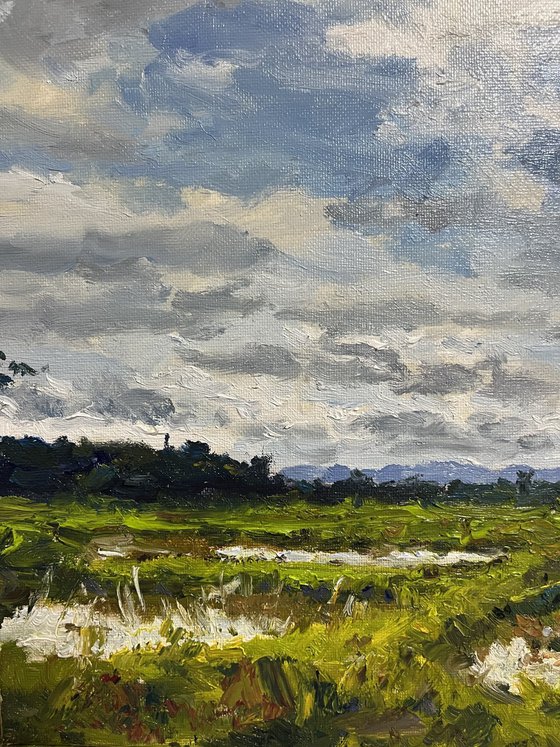 The Charm of the Rainy Season