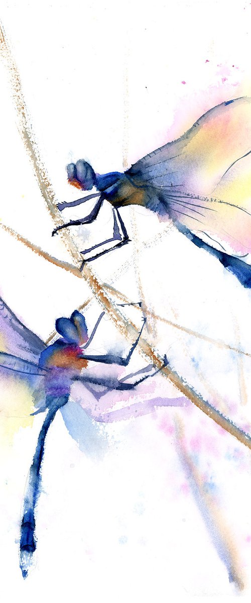 Couple of Dragonflies by Olga Tchefranov (Shefranov)