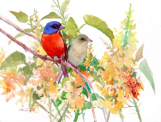 Painted bunting