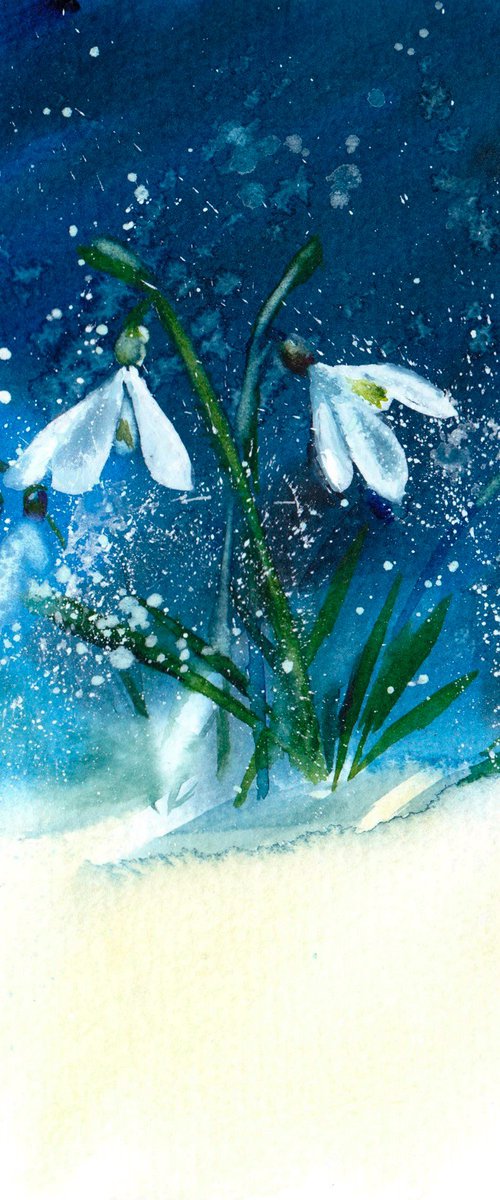 Midnight Snowdrops by Anjana Cawdell