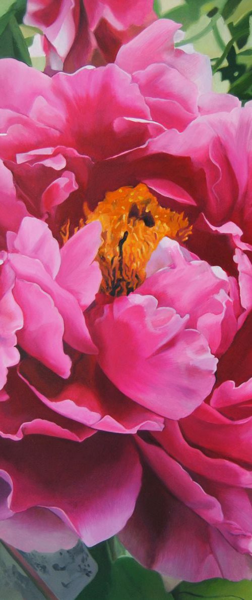 Custom artwork for Adnan , Pink peony by Valeri Tsvetkov